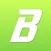 Bigl - Bio Page Builder