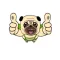 The Cute Pug Animated for iMessage
