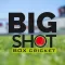 BigShot - Cricket