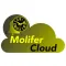 Molifer Cloud