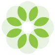 Focus Learning