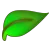 BezierCode