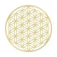 Binary Spirituality