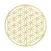 Binary Meditation