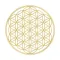 Binary Meditation