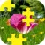Daily Jigsaw Puzzle - A Threes-Puzzl Nature Activity Jigsaw Rules!