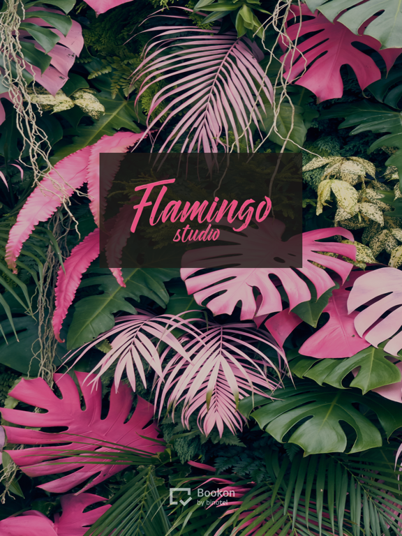 Студія Flamingo iPad Screenshots