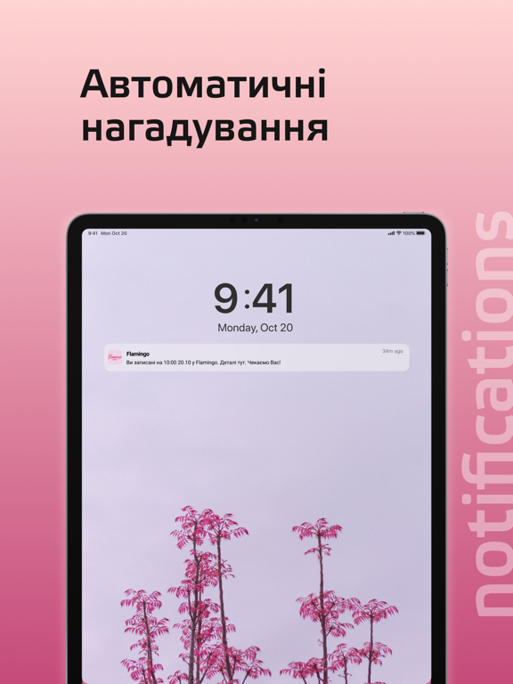 Студія Flamingo iPad Screenshots