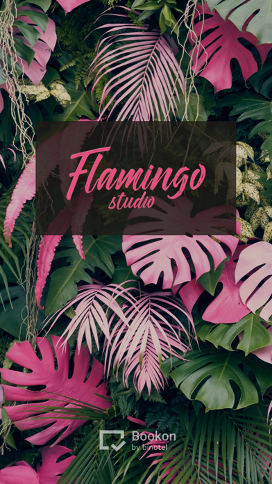 Студія Flamingo Screenshots