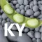 Best Bean Buyer