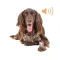 Dog Soundboard