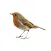 Nightingale Bird Sounds