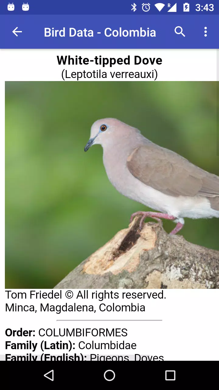 Bird Data - Colombia Screenshots