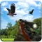Crow hunting Adventure
