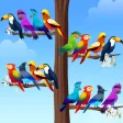 Bird Sort - Color Puzzle Bird Sort - Color Puzzle