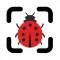 Insect Identifier: Bug Scanner