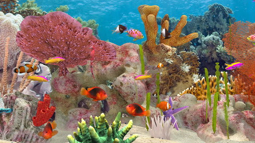 Fish Farm 3 - Aquarium Screenshots