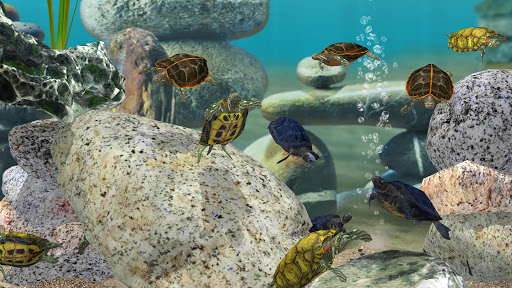 Fish Farm 3 - Aquarium Screenshots