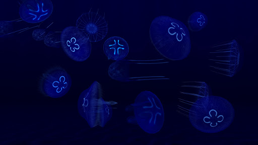 Fish Farm 3 - Aquarium Screenshots