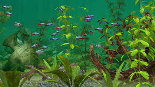 Fish Farm 3 - Aquarium Screenshots