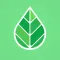 Essential Oils - Young Living
