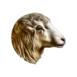 My Sheep Manager