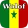 Wolof Translator
