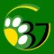 Gavin School District 37