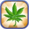 Weed Business - Drug Farm Tycoon