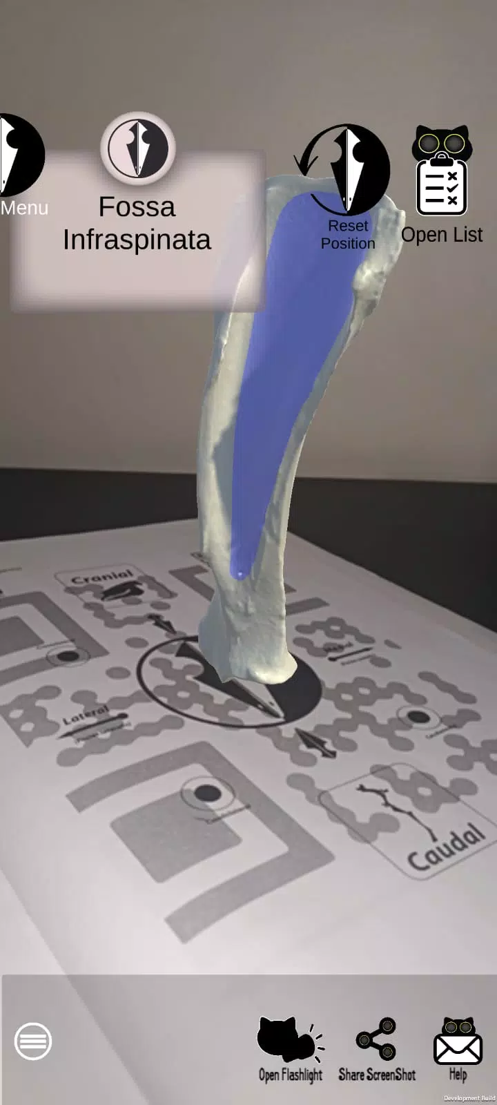 Spectre Veterinary Anatomy Screenshots