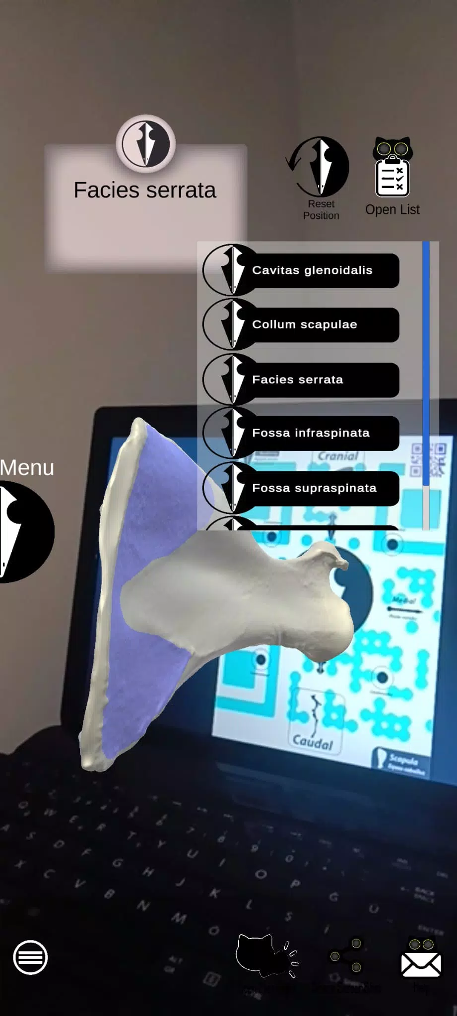 Spectre Veterinary Anatomy Screenshots