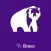 Blacky Bear Бухгалтерия