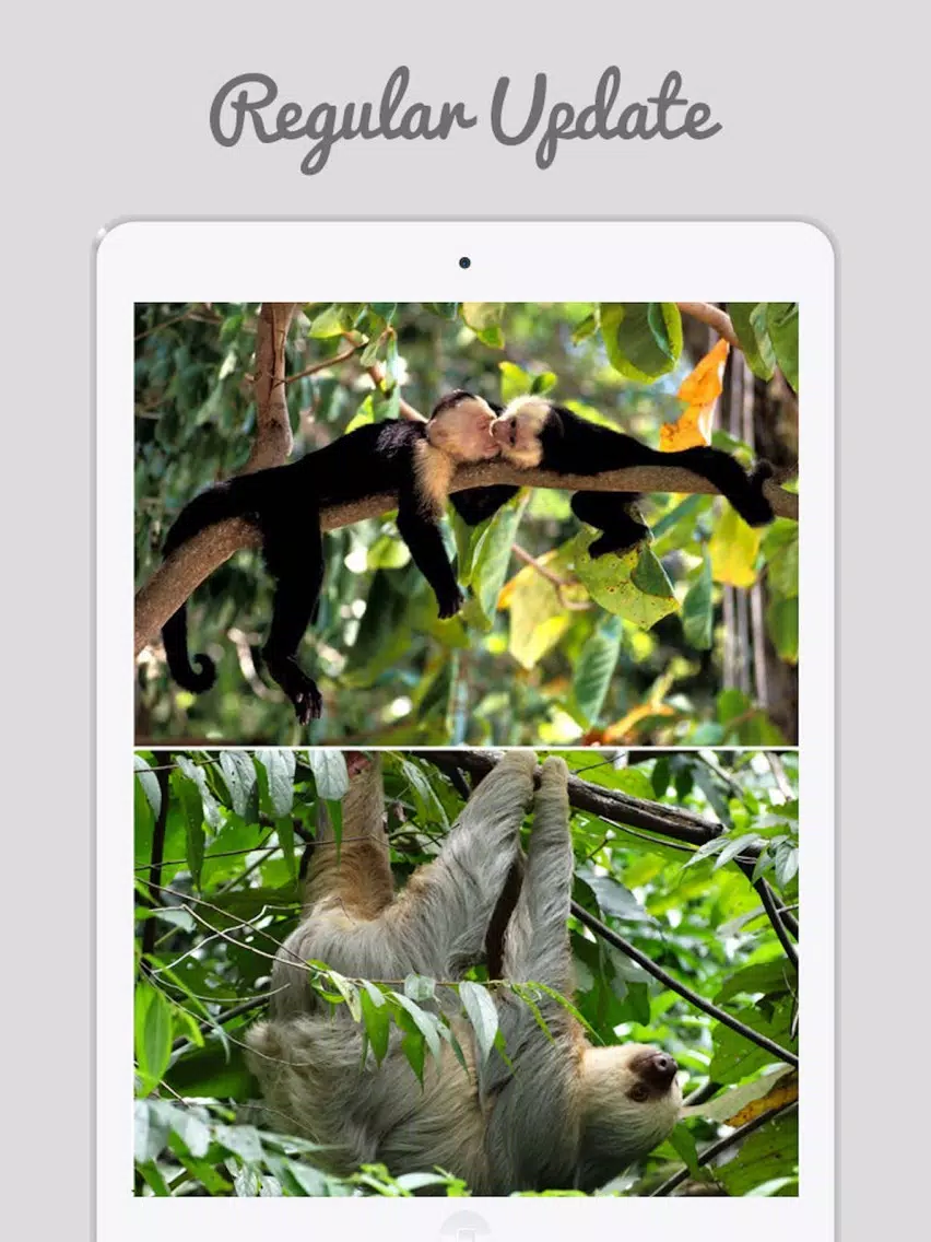 Costa Rica Wallpapers - Home & Lock Screen Wallz iPad Screenshots