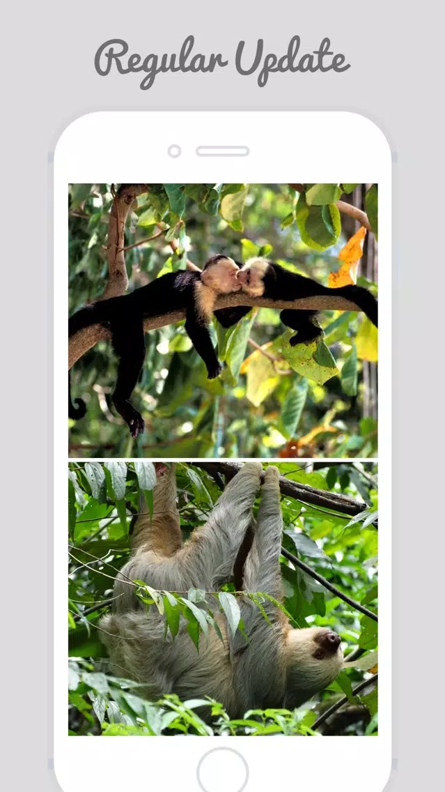 Costa Rica Wallpapers - Home & Lock Screen Wallz Screenshots