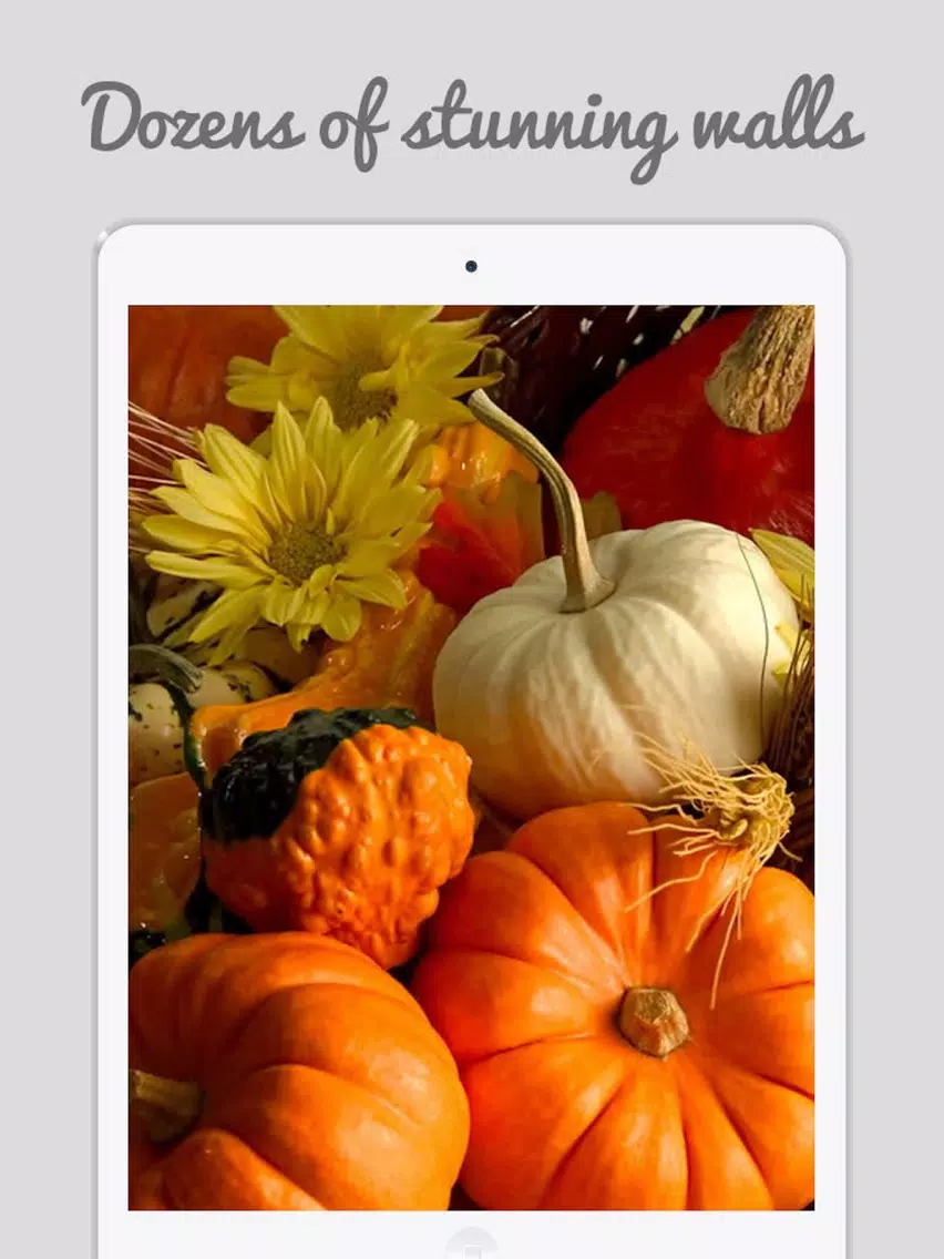 Thanks Giving Wallpapers 2017 iPad Screenshots