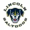 Lincoln Saltdogs Baseball
