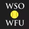 Winston-Salem Open
