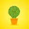 Lucky Cactus