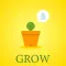 Lucky Cactus Grow