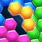 Hexa Block 1010