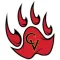 Castle View Football Sabercat