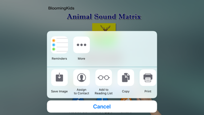 Animal Sound Matrix Screenshots