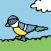 RSPB First Birds