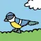 RSPB First Birds
