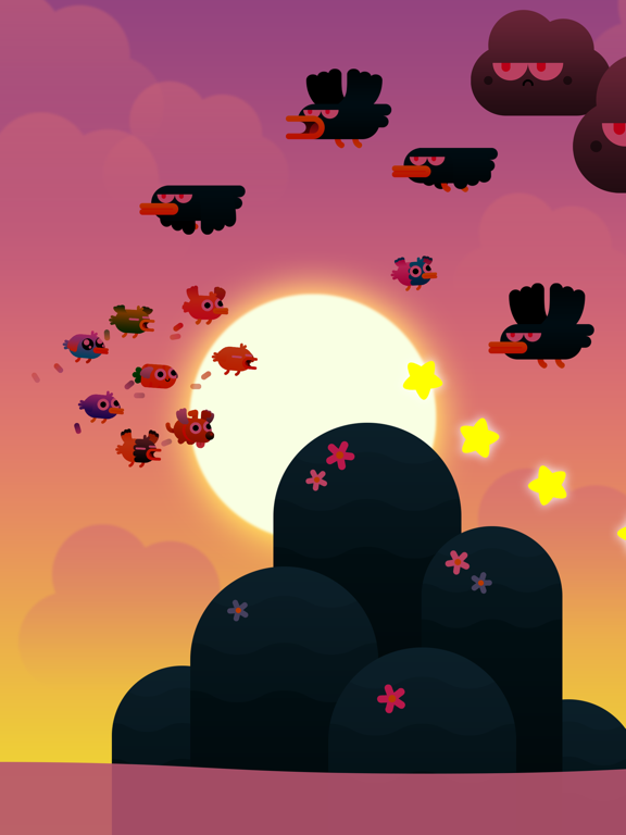 تصاویر Birdy Trip iPad 