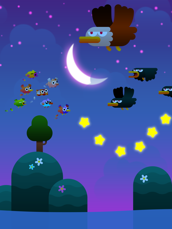 تصاویر Birdy Trip iPad 