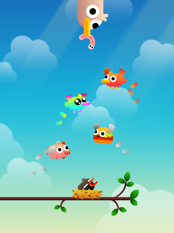 تصاویر Birdy Trip iPad 