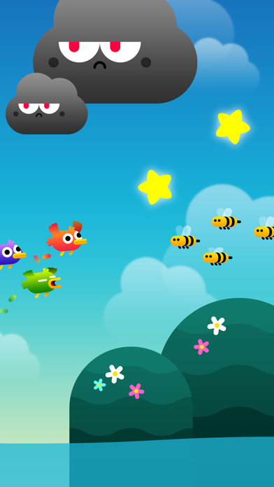 تصاویر Birdy Trip