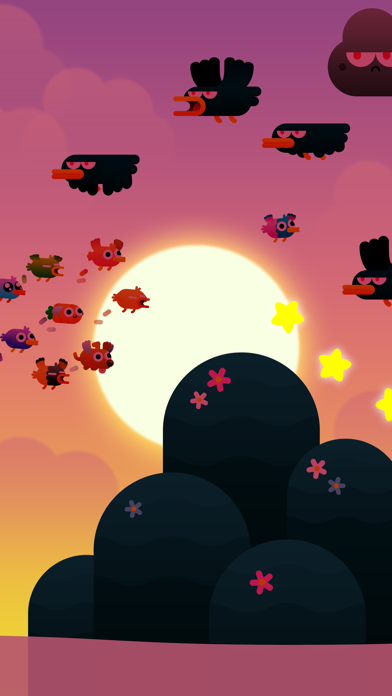 تصاویر Birdy Trip