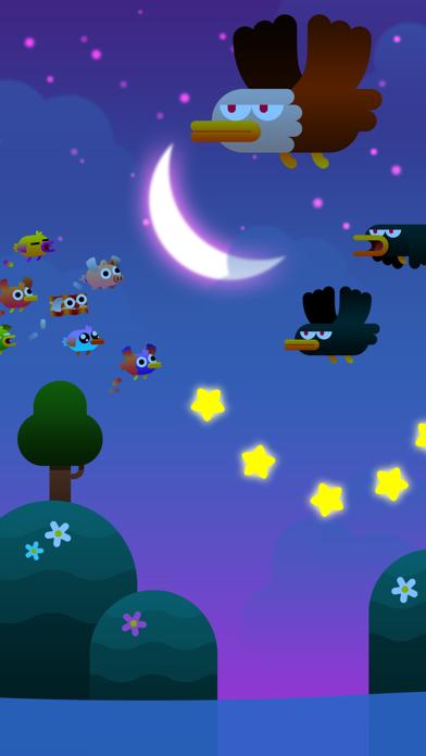 تصاویر Birdy Trip